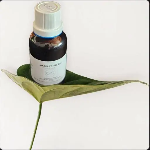 Harpagophytum-Ölmazerat 30 ml