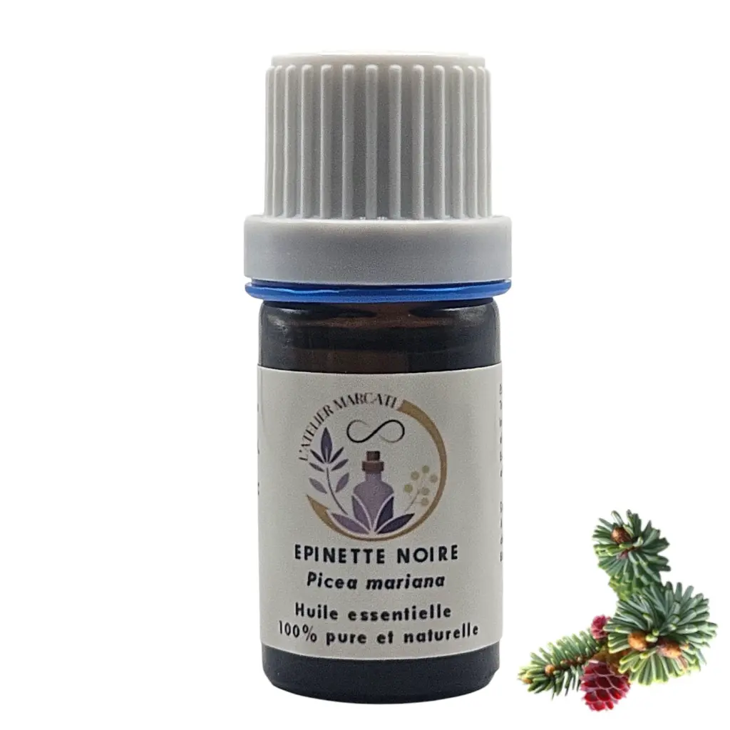 Black Spruce Essential Oil