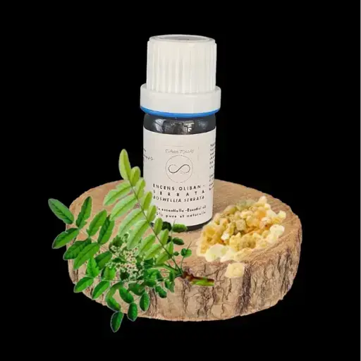 Serrata frankincense essential oil or frankincense incense 5ml