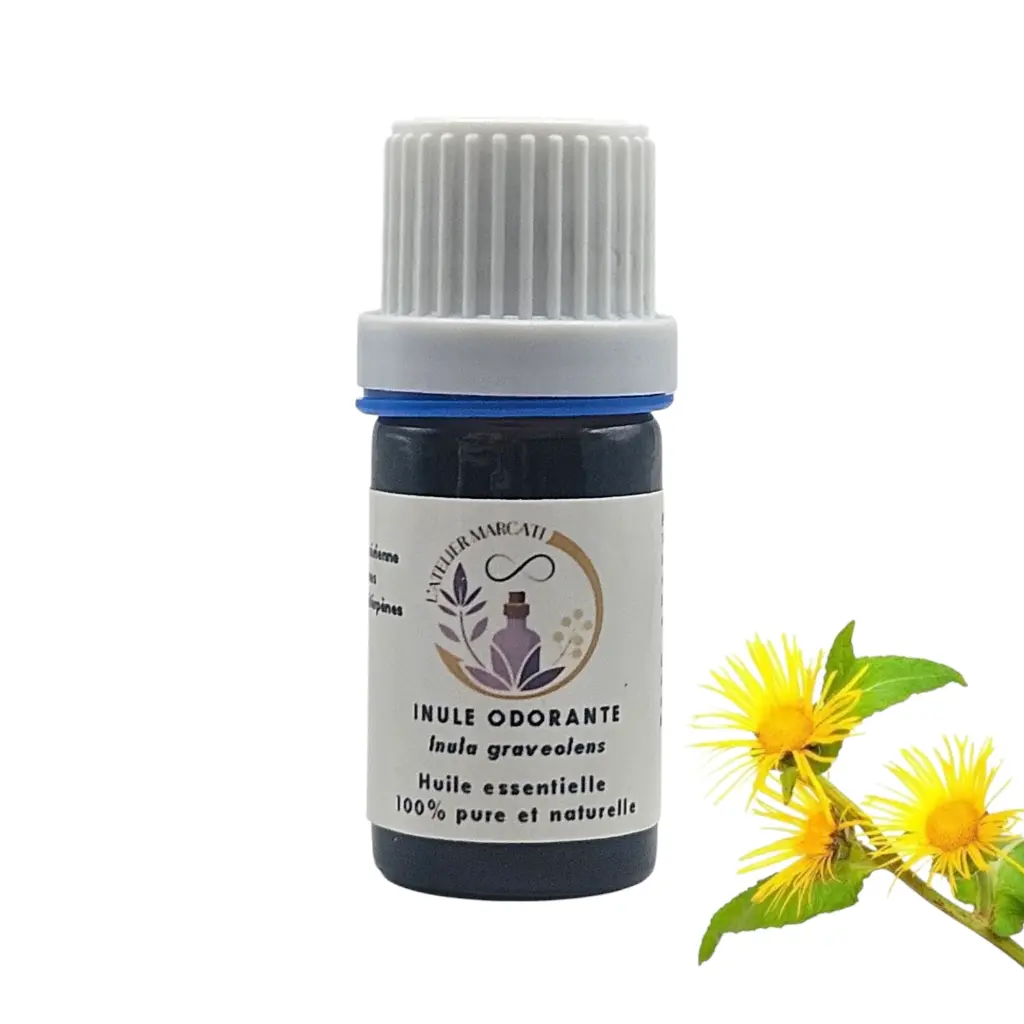 Inule essential oil (Gravéolens)