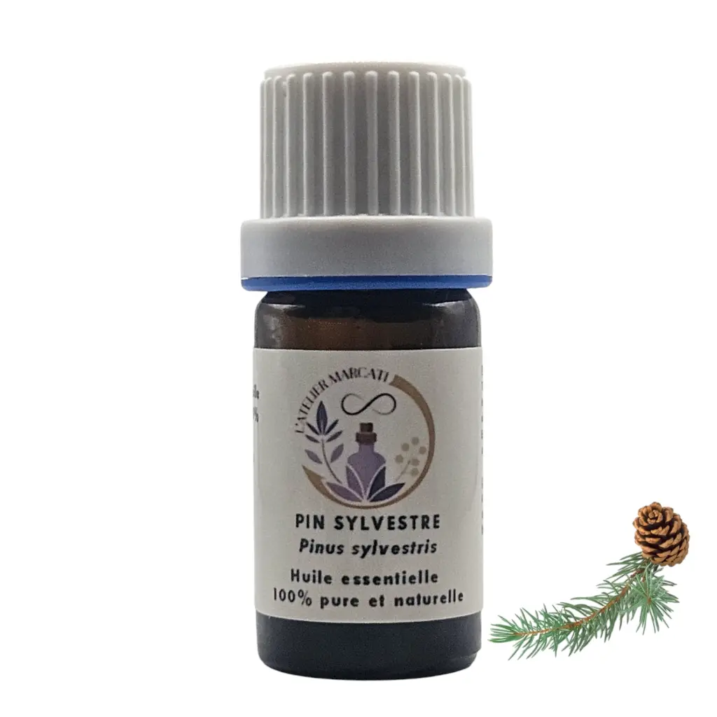 Scots pine essential oil