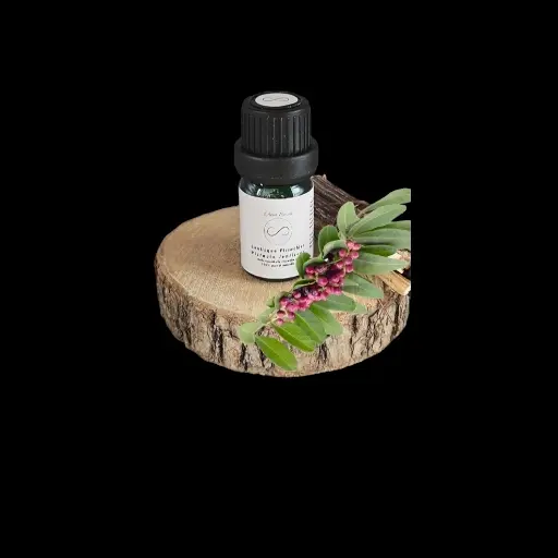 Essential oil Lentisque Pistachio tree 5ml