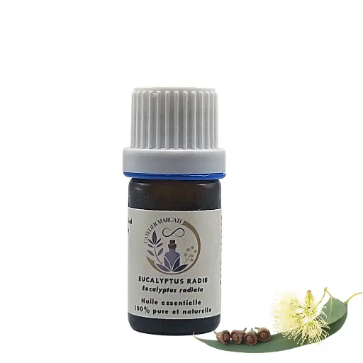 Eucalyptus Radiated or officinal essential oil