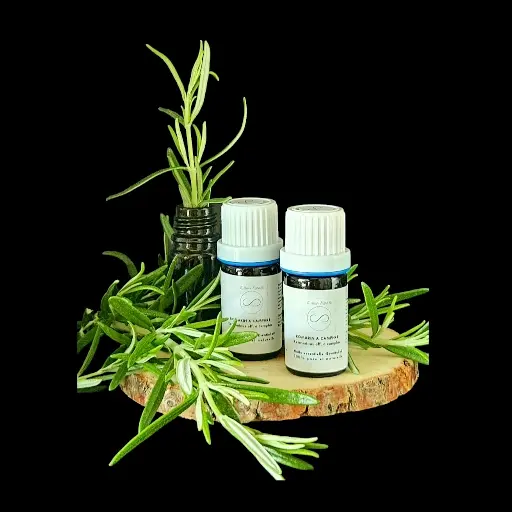 Rosemary Camphor essential oil 5ml