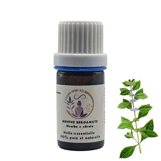 Bergamot Mint or Lemon Mint essential oil