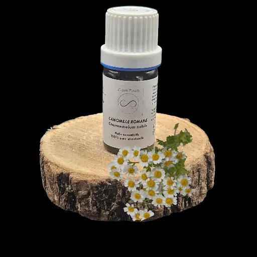 Roman Chamomile or Noble Chamomile essential oil 5ml